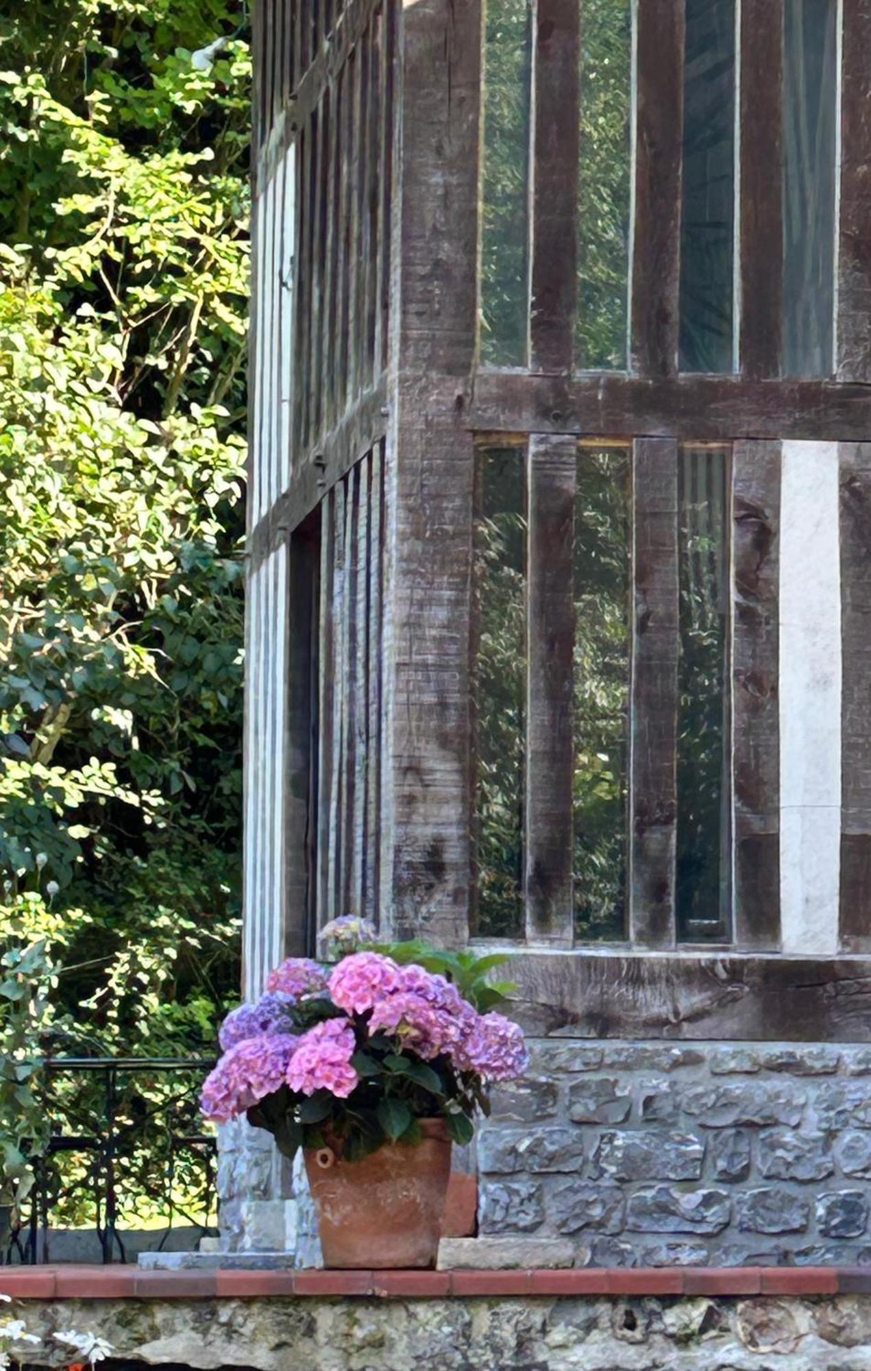 Les Hortensias Manerbe Exterior photo